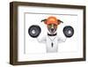 Fitness Dog-Javier Brosch-Framed Premium Photographic Print