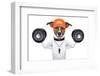 Fitness Dog-Javier Brosch-Framed Premium Photographic Print