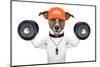 Fitness Dog-Javier Brosch-Mounted Premium Photographic Print