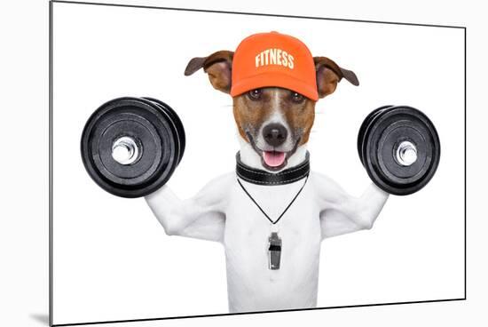 Fitness Dog-Javier Brosch-Mounted Photographic Print