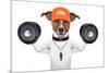 Fitness Dog-Javier Brosch-Mounted Photographic Print