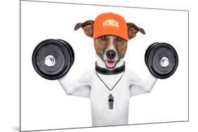 Fitness Dog-Javier Brosch-Mounted Photographic Print
