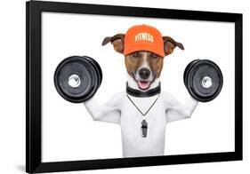 Fitness Dog-Javier Brosch-Framed Photographic Print