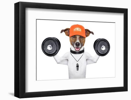 Fitness Dog-Javier Brosch-Framed Photographic Print