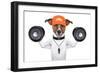 Fitness Dog-Javier Brosch-Framed Photographic Print