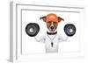 Fitness Dog-Javier Brosch-Framed Photographic Print