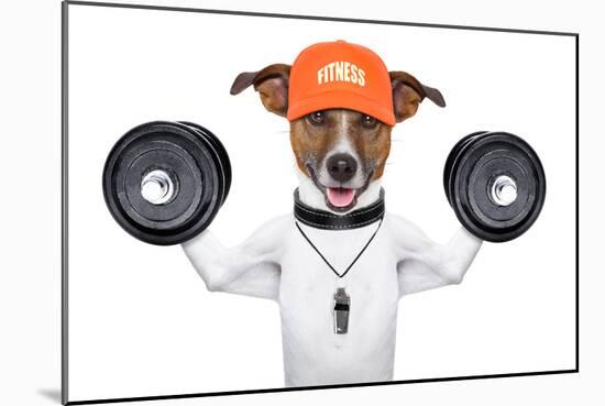 Fitness Dog-Javier Brosch-Mounted Photographic Print