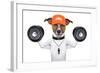 Fitness Dog-Javier Brosch-Framed Photographic Print