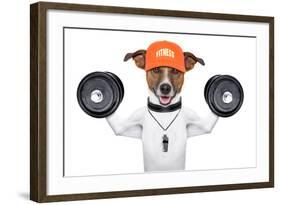 Fitness Dog-Javier Brosch-Framed Photographic Print