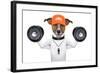 Fitness Dog-Javier Brosch-Framed Photographic Print