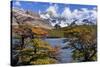 Fitz Roy Massif Mountain Scenery Including Cerro-null-Stretched Canvas