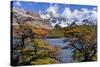 Fitz Roy Massif Mountain Scenery Including Cerro-null-Stretched Canvas