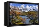 Canvas Black