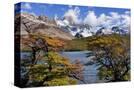 Stretched Canvas