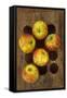 Five Apples-Den Reader-Framed Stretched Canvas