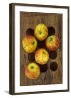 Five Apples-Den Reader-Framed Photographic Print