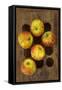 Five Apples-Den Reader-Framed Stretched Canvas
