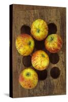 Five Apples-Den Reader-Stretched Canvas