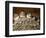 Five Baby Barn Swallows Peer out from Their Nest-null-Framed Photographic Print