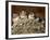 Five Baby Barn Swallows Peer out from Their Nest-null-Framed Photographic Print