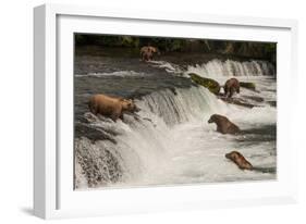 Five Bears Salmon Fishing at Brooks Falls-Nick Dale-Framed Photographic Print