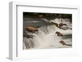 Five Bears Salmon Fishing at Brooks Falls-Nick Dale-Framed Photographic Print