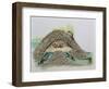 Five Beavers in their Den (Castor Fiber)-null-Framed Giclee Print