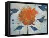 Five Birds and Maple-Tim Nyberg-Framed Stretched Canvas