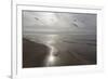 Five Birds, Grand Haven, Michigan '14 - Color-Monte Nagler-Framed Photographic Print