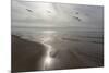 Five Birds, Grand Haven, Michigan '14 - Color-Monte Nagler-Mounted Photographic Print