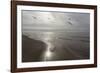 Five Birds, Grand Haven, Michigan '14 - Color-Monte Nagler-Framed Photographic Print