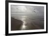 Five Birds, Grand Haven, Michigan '14 - Color-Monte Nagler-Framed Photographic Print