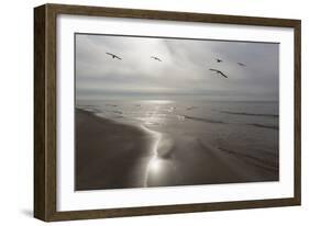 Five Birds, Grand Haven, Michigan '14 - Color-Monte Nagler-Framed Photographic Print