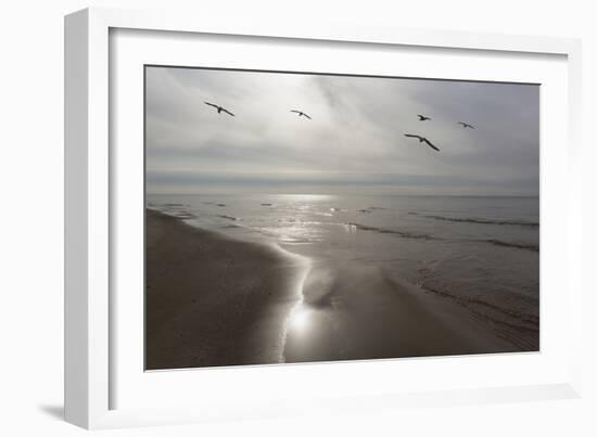 Five Birds, Grand Haven, Michigan '14 - Color-Monte Nagler-Framed Photographic Print