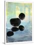Five Boulders-Stacy Milrany-Stretched Canvas
