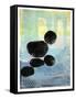 Five Boulders-Stacy Milrany-Framed Stretched Canvas