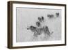 Five Brothers in Hunting-Jun Zuo-Framed Giclee Print