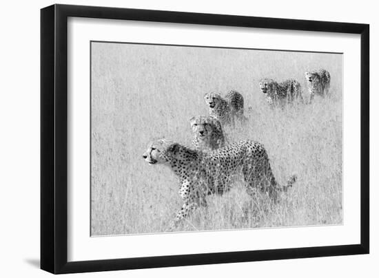 Five Brothers in Hunting-Jun Zuo-Framed Giclee Print