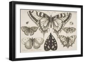 Five Butterflies, a Moth, and Two Beetles-Wenceslaus Hollar-Framed Giclee Print