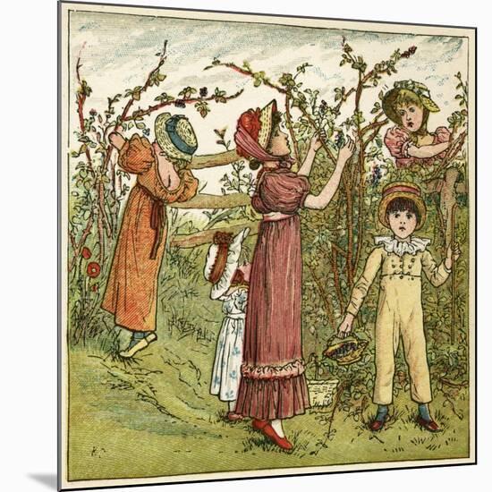 Five Children Picking Blackberries-Kate Greenaway-Mounted Art Print