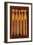 Five Clothes Pegs-Den Reader-Framed Photographic Print