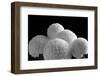 Five Disciples, 2006-Hiroyuki Arakawa-Framed Photographic Print