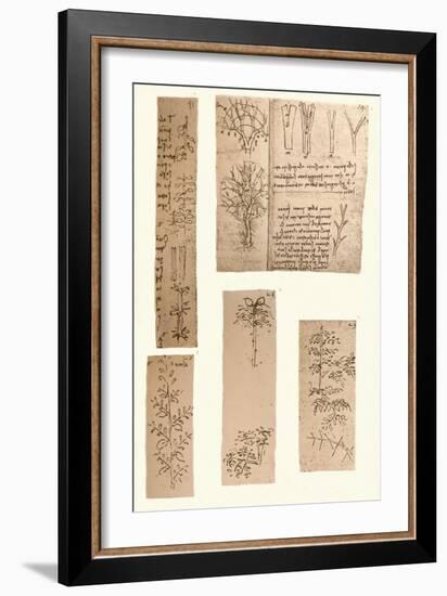 Five drawings illustrating the elements of landscape painting, c1472-c1519 (1883)-Leonardo Da Vinci-Framed Giclee Print