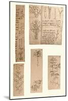 Five drawings illustrating the elements of landscape painting, c1472-c1519 (1883)-Leonardo Da Vinci-Mounted Giclee Print