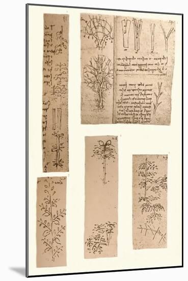 Five drawings illustrating the elements of landscape painting, c1472-c1519 (1883)-Leonardo Da Vinci-Mounted Giclee Print