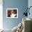 Five Easy Pieces-null-Framed Photo displayed on a wall