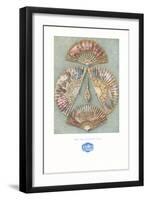 Five Eighteenth Century Fans-null-Framed Art Print