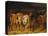 Five Horses Viewed from the Back-Théodore Géricault-Stretched Canvas