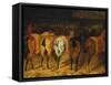 Five Horses Viewed from the Back-Théodore Géricault-Framed Stretched Canvas