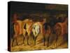 Five Horses Viewed from the Back-Théodore Géricault-Stretched Canvas
